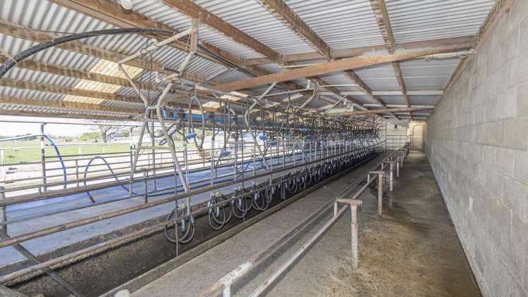 2556 State Highway 53 Martinborough_15