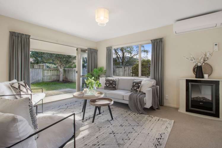 11b Gray Street Katikati_2