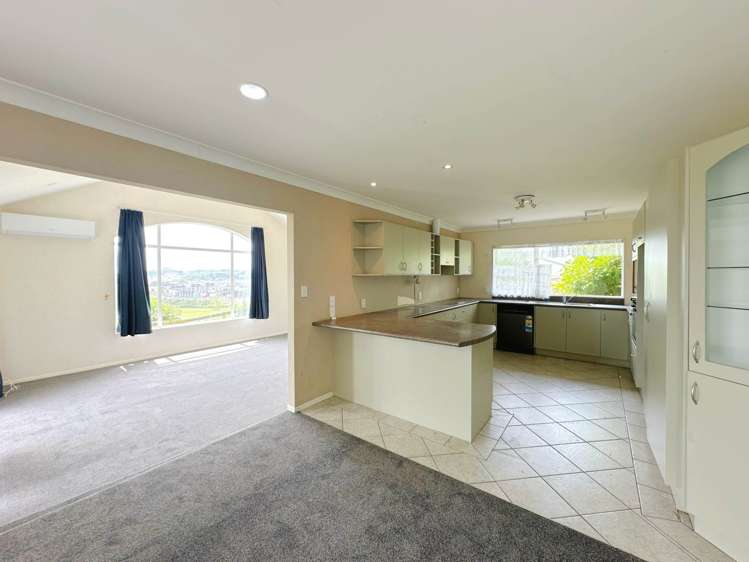 75 Murphys Road Flat Bush_3