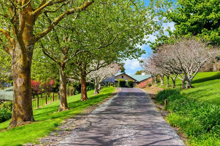 44 Arana Drive, Karaka_39