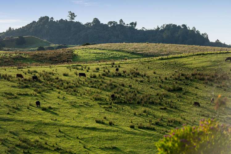 44 Arone Way Wainui_28