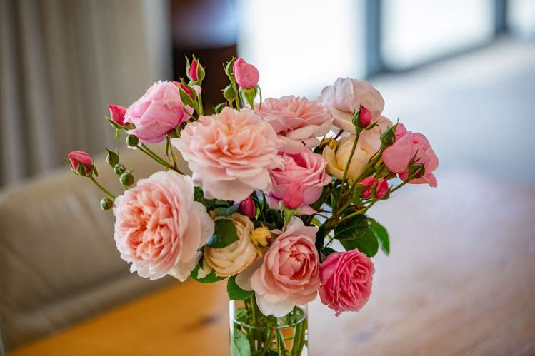 14 Oakridge Place Morrinsville_31