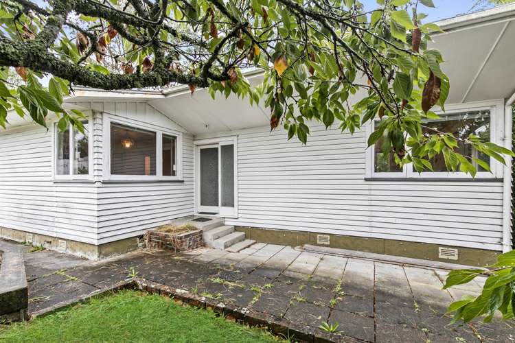 16 Stedman Place Avondale_11