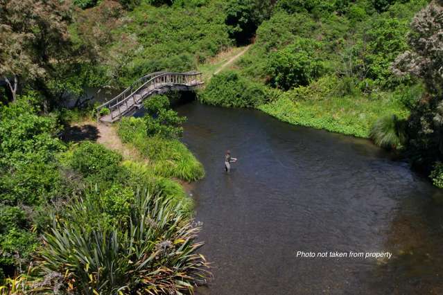 20 Mill Road Waitahanui_1