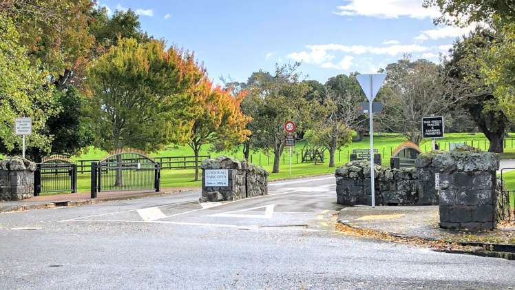 1/67 Campbell Road Onehunga_11