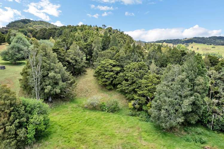 311A Akerama Road Hukerenui_37