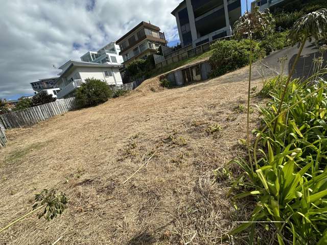 22c Findlay Street Moturoa_4