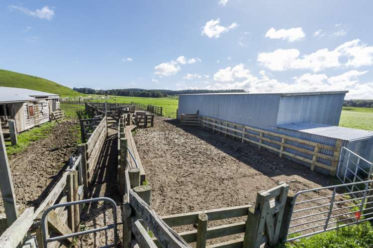 76 Brandon Hall Road Bulls_17