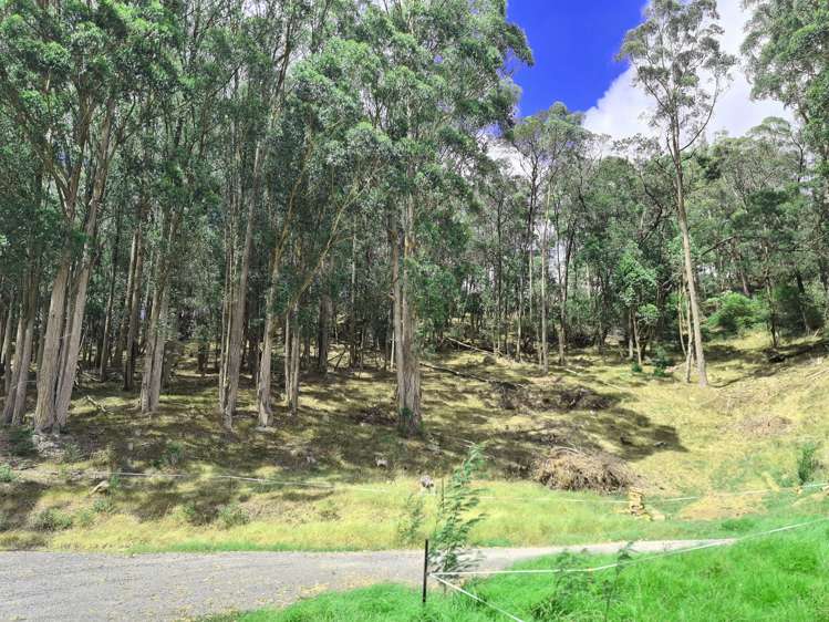 48a Bennett Street Paeroa_6