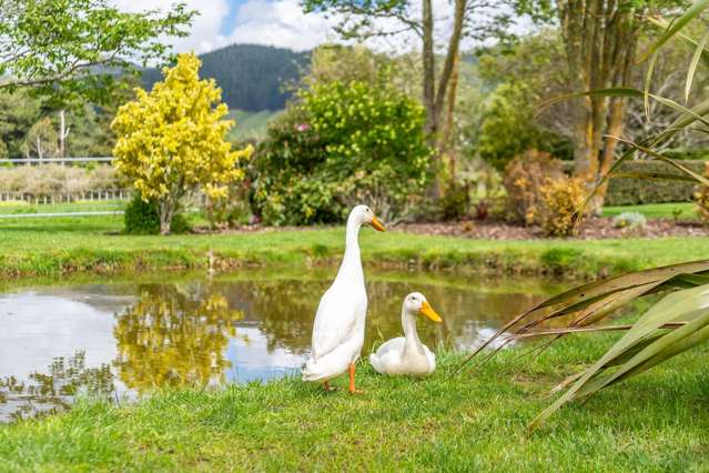 43 TVL Road Blue Mountains_1