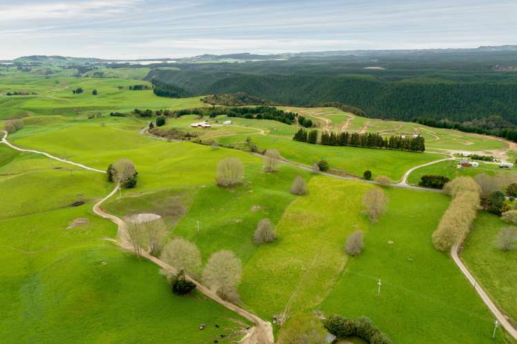 936 Pongakawa Bush Road Pongakawa_14