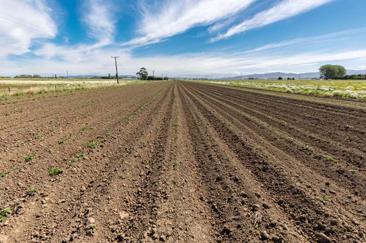 Bradshaws Road Waimate_13