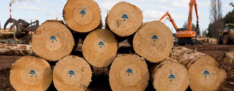 1068 Otaki Gorge Road Otaki_6