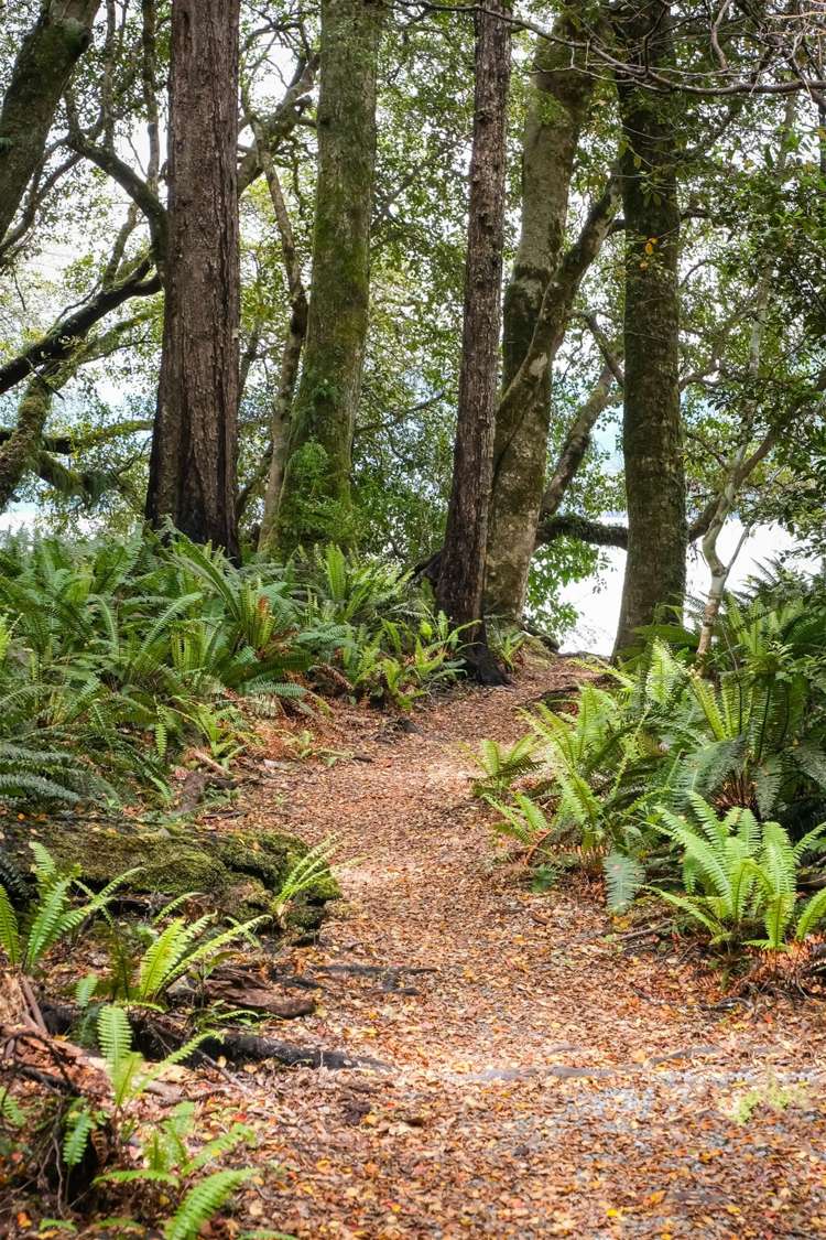 53 Porika Road Rotoroa_31