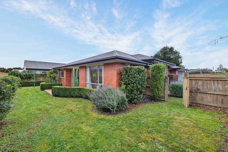 47c Birchfield Avenue Dallington_20