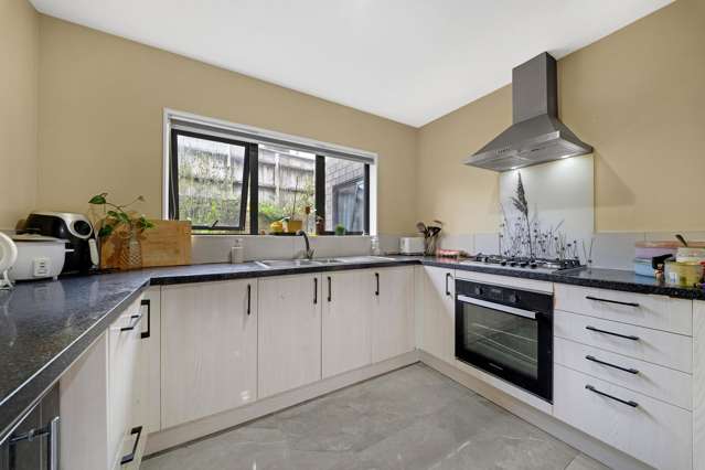 68 Ellis Avenue Mt Roskill_3