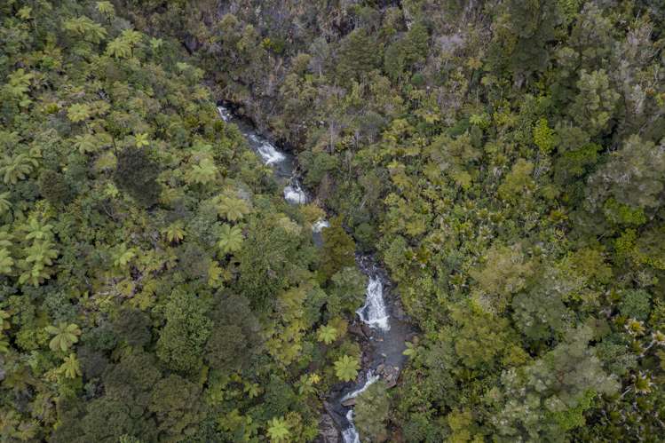 586 Tapu Coroglen Road Coromandel Forest Park_16