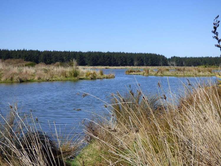 77 Te Hurunui Drive Pegasus_7