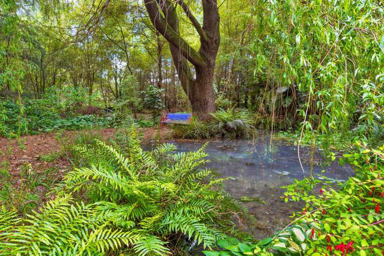 465 Old West Coast Road_4