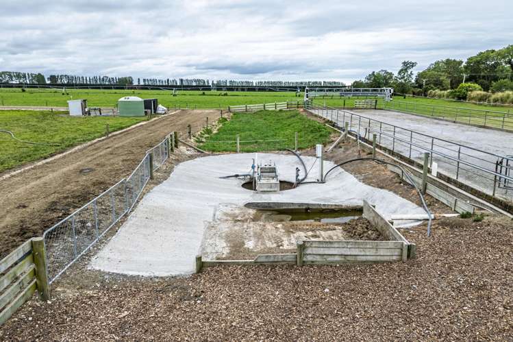 94 Brogdens Road Lowcliffe_15