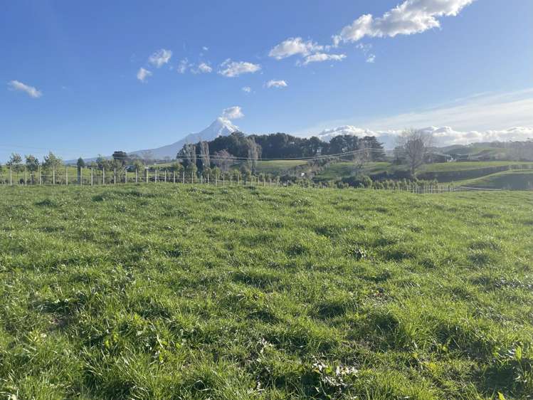 369 Tarata Road Inglewood_12