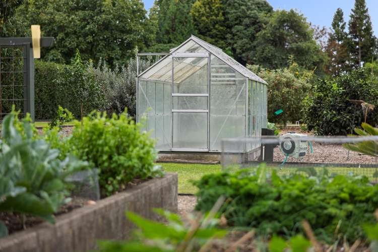 74 Raukawa Drive Bethlehem_34