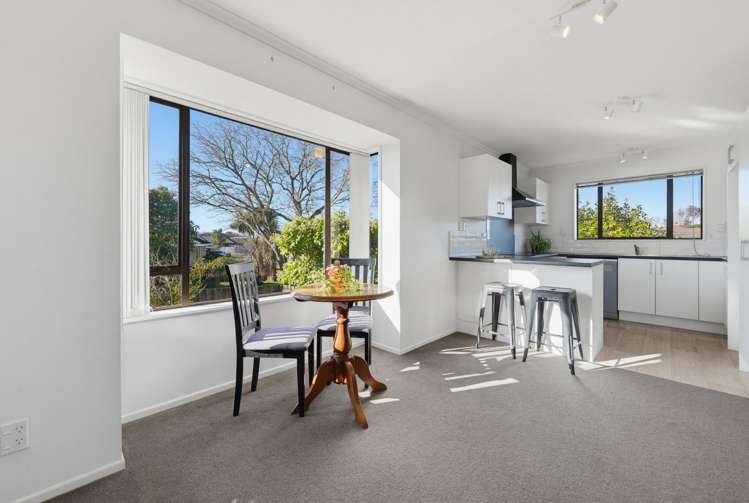 15 Lowry Avenue Redwood_2