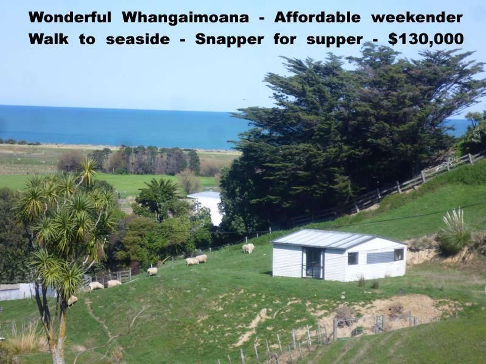 14 Whangaimoana Beach Road Pirinoa_0