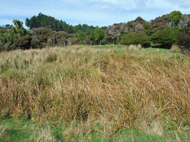 172 Wharariki Road Kahurangi National Park_12
