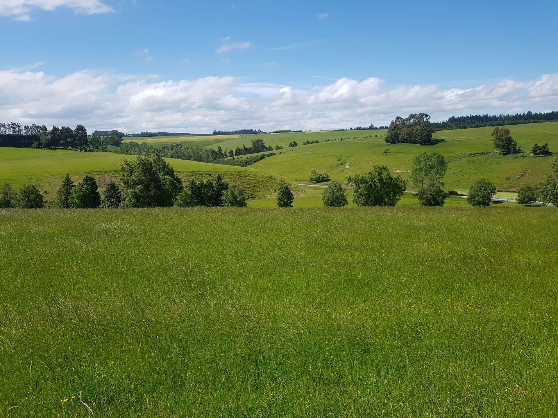 Four Mile Creek Road Balclutha_0