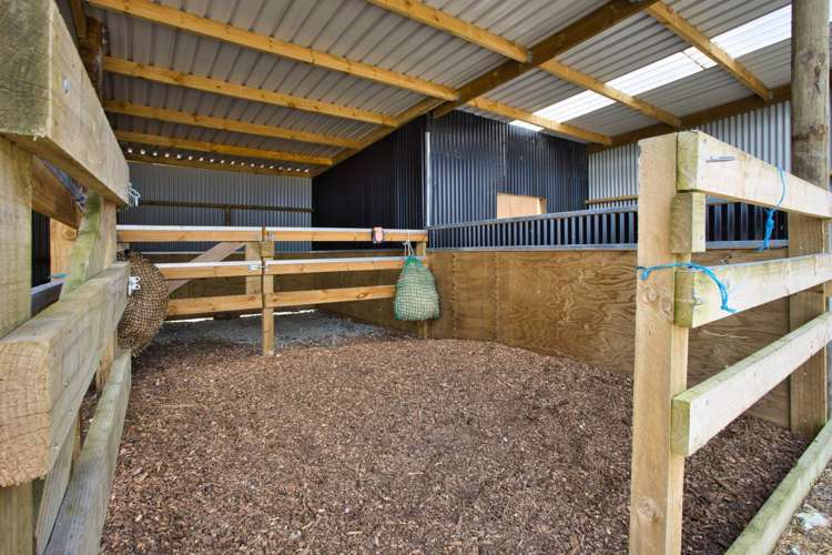 100 Devich Road Mangawhai_19