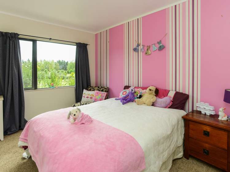 33 Kyle Road Waipukurau and Surrounds_12