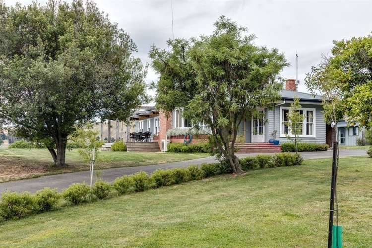 247 Mutiny Road Poukawa_1