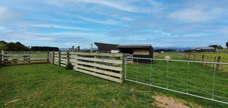 25 Ryland Park Levin_17