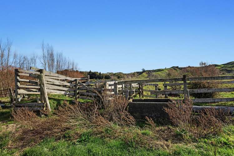 Waiotahe Valley Road Waiotahe_7