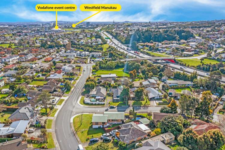 12 David Avenue Hillpark_18