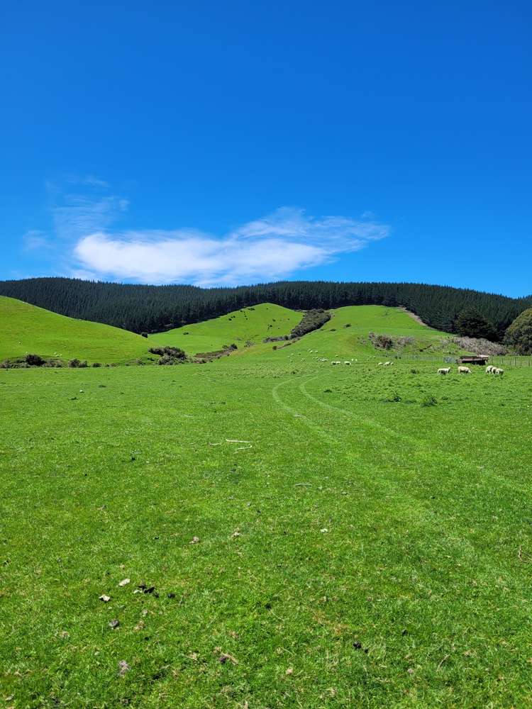 Waihola Highway Waihola_8