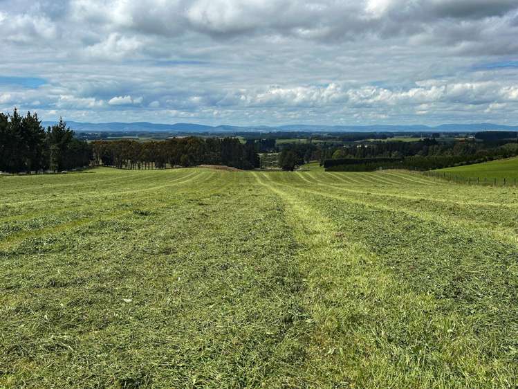 111 Slaughterhouse Road Otautau_12