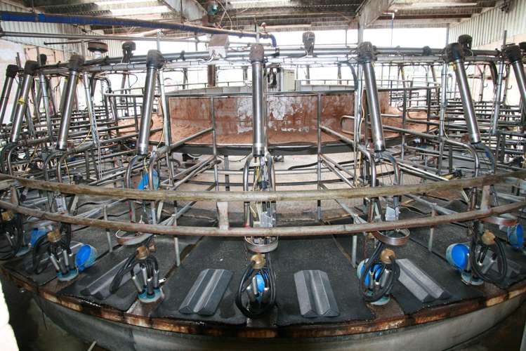 2403 Mountain Road Tariki_12