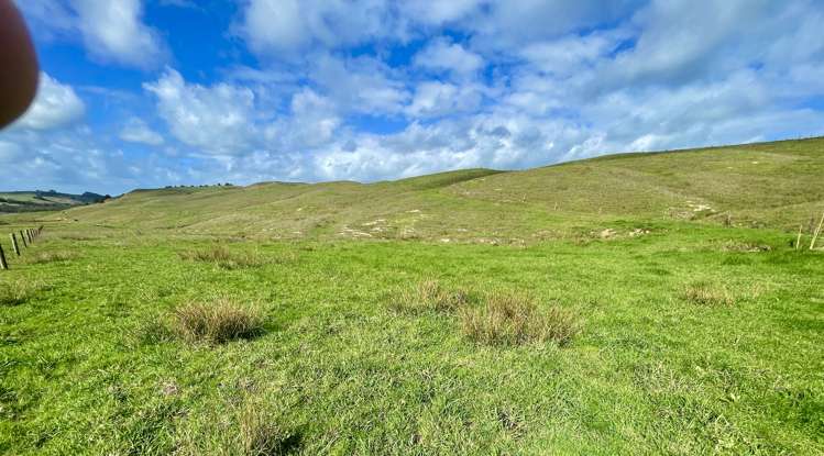 426 Mangarata Block Road Arapohue_5