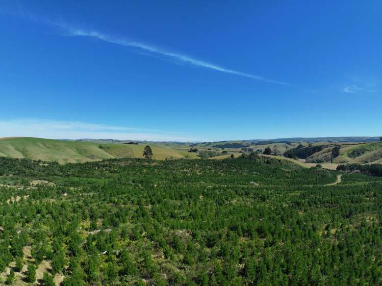Waitahuna Gully Road Waitahuna Gully_11