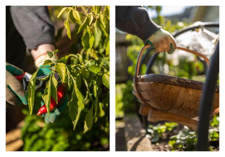 101 Tararu Road Thames_33