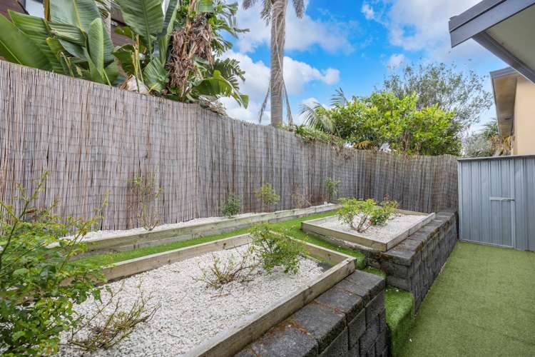 35 Browns Bay Road Browns Bay_14