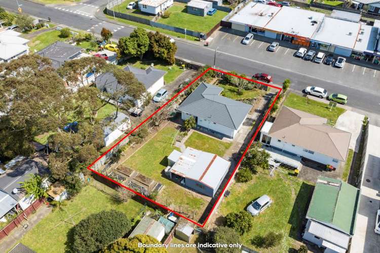 36 Edinburgh Avenue Rosehill_18