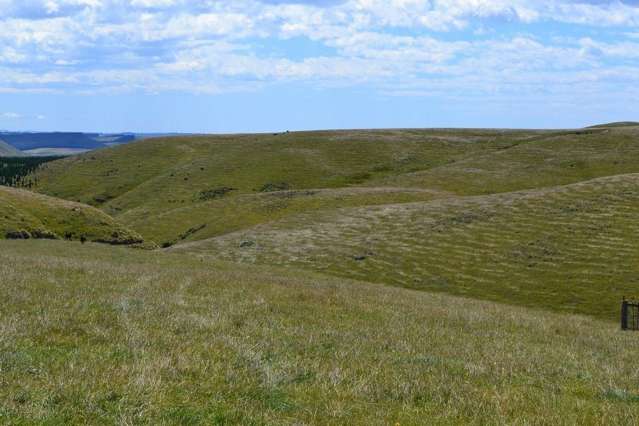 570 Mckenzie Road North Otago Surrounds_1