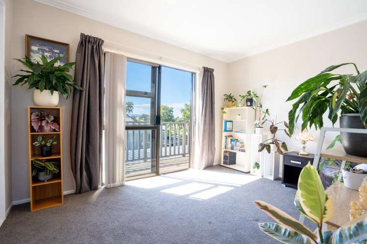 360 Racecourse Road Te Awamutu_16