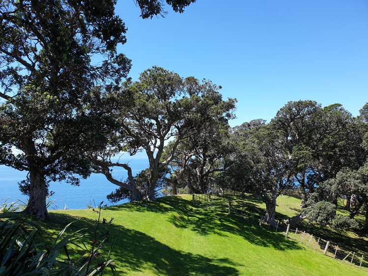 100 Omaha Block Access Road Leigh_16