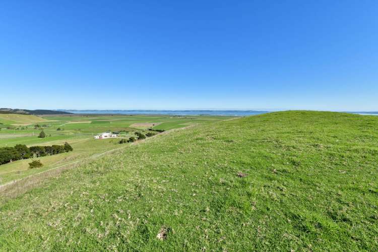 3356 Kaipara Coast Highway Glorit_47