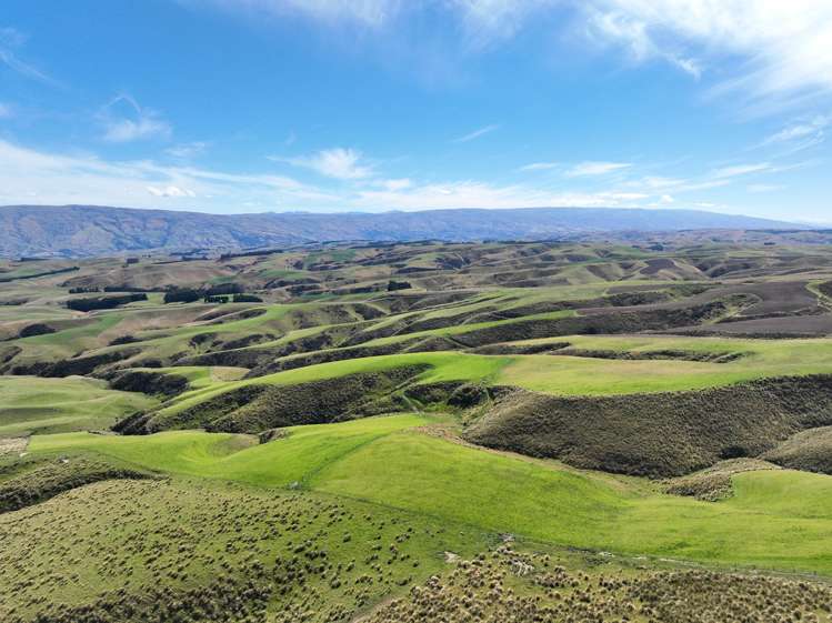 665-901 Tima Burn Road Teviot_29