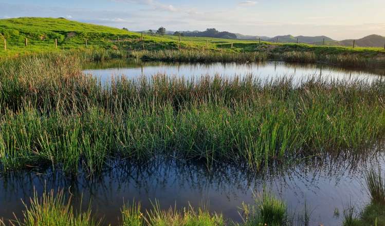 165 Kereru Road Glen Massey_3